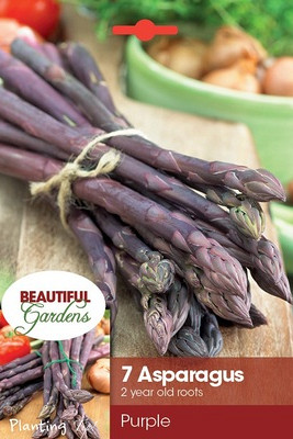 Purple Passion