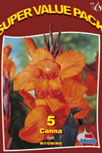 Canna Tall Wyoming 15x4