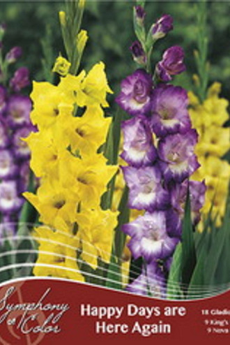 Happy Days are Here Again Spring