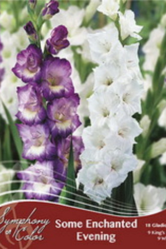 Some Enchanted Evening (Spring)