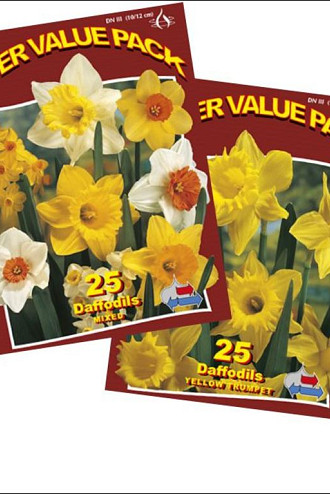 Assorted Daffodils 2x5x25