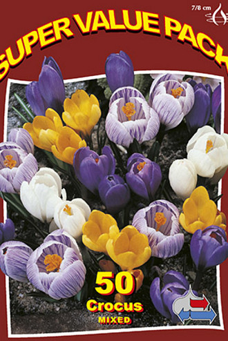 Crocus Mixed 20x50